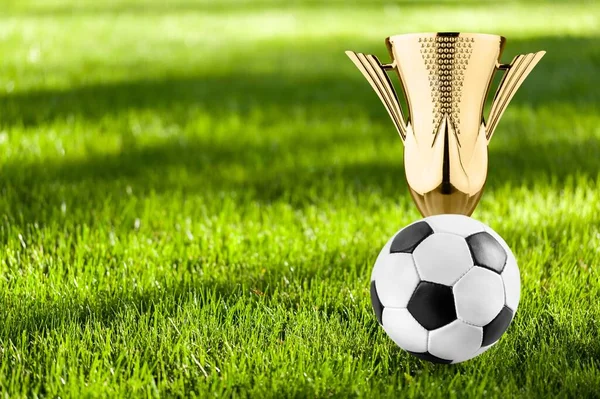 Trophée Champion Sur Pelouse Verte Stade Football — Photo