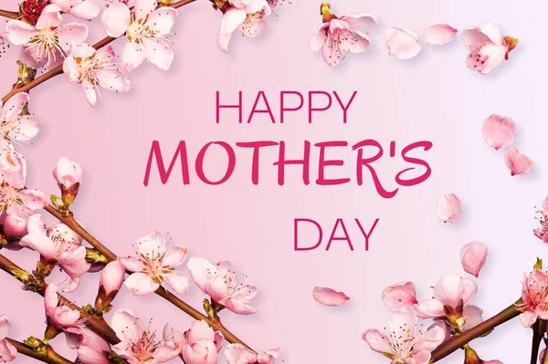 母亲节快乐 粉色背景的美丽花朵 — 图库照片