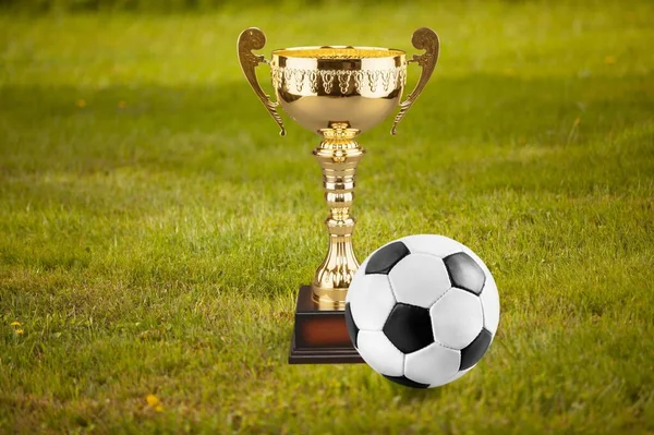 Kampioen Trofee Het Groene Grasveld Van Het Voetbalstadion — Stockfoto