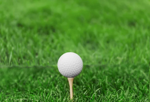 Golfe Bola Branca Está Tee Fundo Grama Verde — Fotografia de Stock