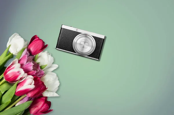 Retro photo camera on a desk near flowers.