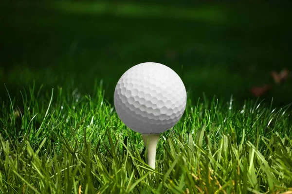 ゴルフ白いボールは 緑の芝生の背景にティーにあります — ストック写真