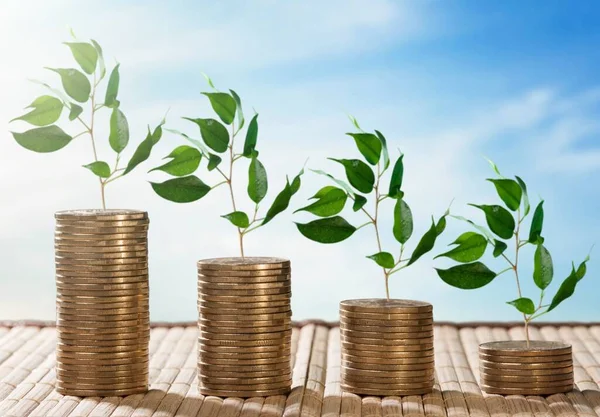 Mostrando Desarrollos Financieros Crecimiento Negocios Con Árbol Verde Crecimiento Una — Foto de Stock