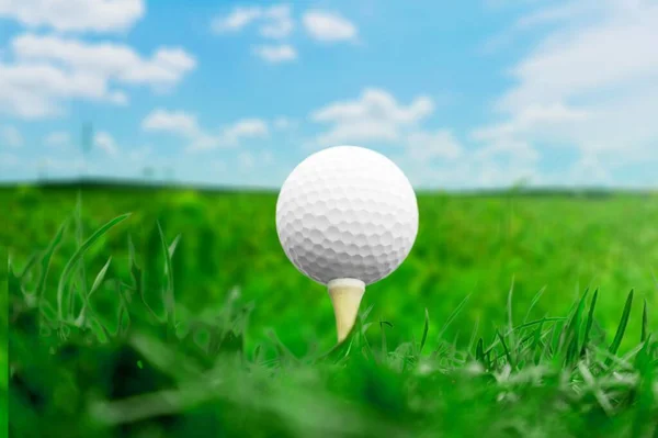 Golf Balle Blanche Est Sur Tee Sur Fond Herbe Verte — Photo