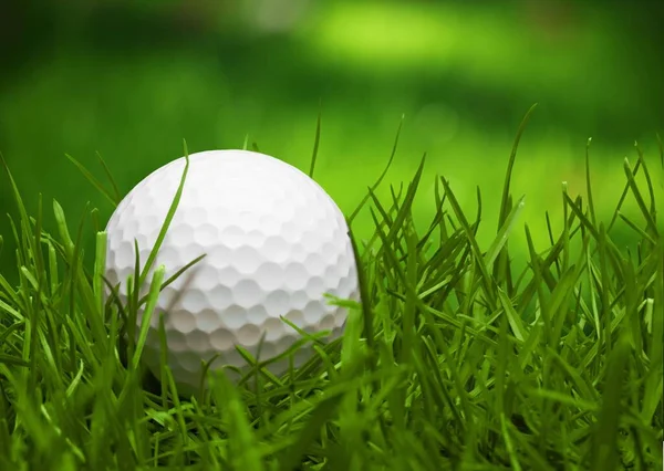 Golfe Bola Branca Está Tee Fundo Grama Verde — Fotografia de Stock