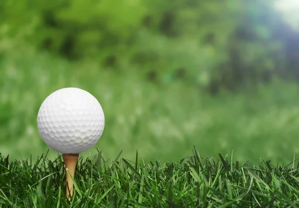 Golf Bola Blanca Está Tee Fondo Hierba Verde — Foto de Stock