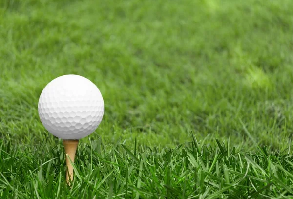 Golf Bílý Míček Tee Zeleném Travnatém Pozadí — Stock fotografie