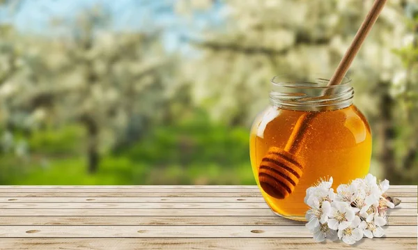 Sweet Honey Jar Surrounded Spring Flowers Blossoms — Stock Photo, Image