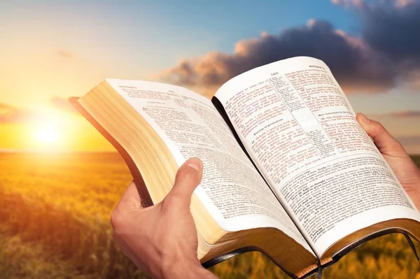 Kristna Människor Ber Den Heliga Bibeln Ett Kornfält Sommaren — Stockfoto