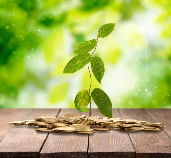Egy Halom Pénzérme Megtakarítás Koncepció Befektetési Alapokba Történő Befektetéshez Nyugdíjazáshoz — Stock Fotó