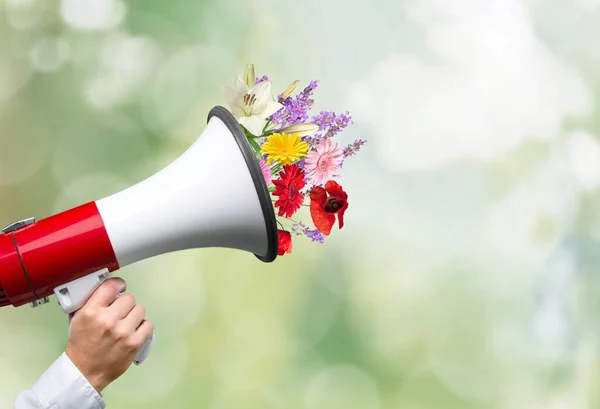 Megaphone Bouquet Blooming Spring Fresh Flowers Pastel Background — Stock Photo, Image