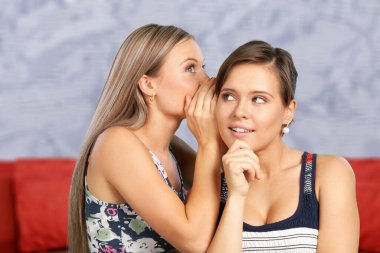 İki güzel kadın dedikodu yapıyor. 