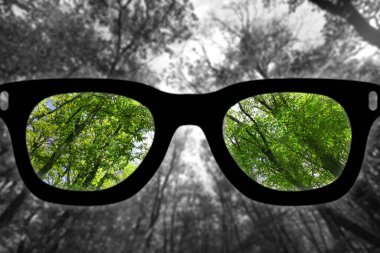 Kadın gözlükleri ve tek renkli arka planda odaklanmış ormanın renkli görüntüsü.