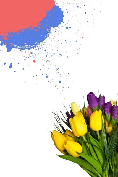 美しい色の新鮮な花や水彩スプラッシュ — ストック写真