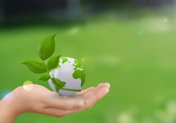 Hand Hand Mit Grünen Blättern Für Erneuerbare Nachhaltige Entwicklung Ökologisches — Stockfoto