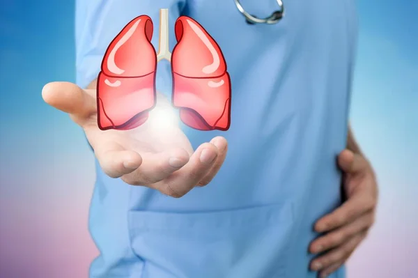 Mãos Humanas Segurando Símbolo Órgão Pulmonar Consciência Cancro Pneumonia Asma — Fotografia de Stock