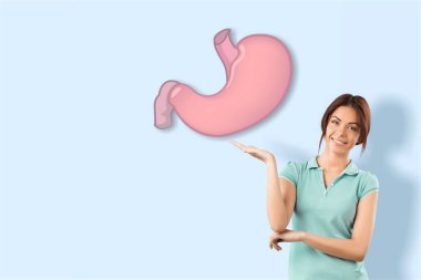 Dekoratif model insan bağırsağı. Sağlıklı sindirim, probiyotikler ve prebiyotikler
