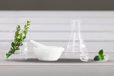 Biyolojik deney sunumu, biyolojik test tüplerinde yapraklar ve yeşil su.