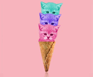 Çağdaş sanat kolajı, modern tasarım. Tatlı kedi yavrularıyla dolu dondurma.