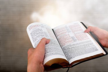 Kitap okuyan bir adamın elleri.