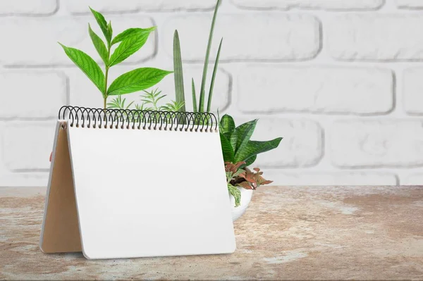 Blank Notepad Green Leaves White Wooden Background — Stock Photo, Image