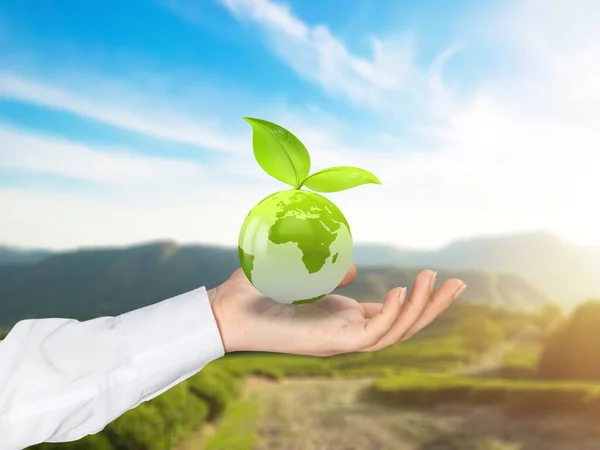 Hand Houden Van Groene Bladeren Voor Duurzame Ontwikkeling Ecologisch Concept — Stockfoto