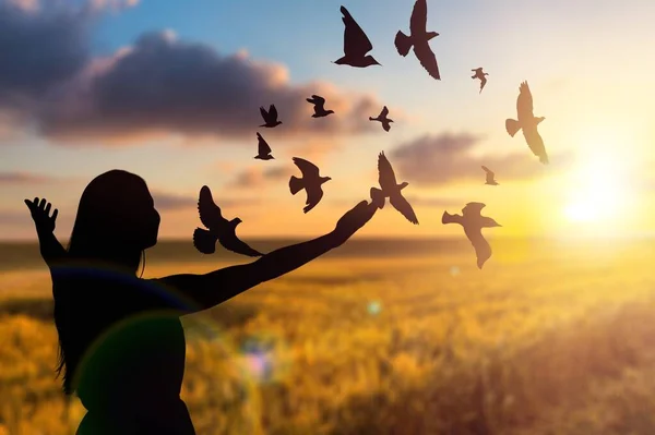 Hoop Geloof Concept Vrouw Lanceert Vogels Achtergrond Van Een Zonnige — Stockfoto