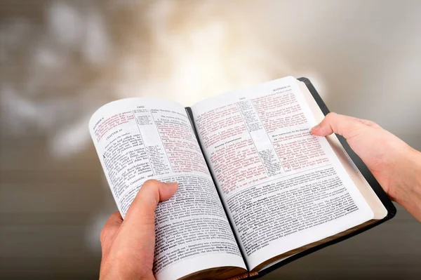 Livro Leitura Mãos — Fotografia de Stock