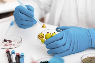 Bilimadamı laboratuvarda yiyecek test ediyor.