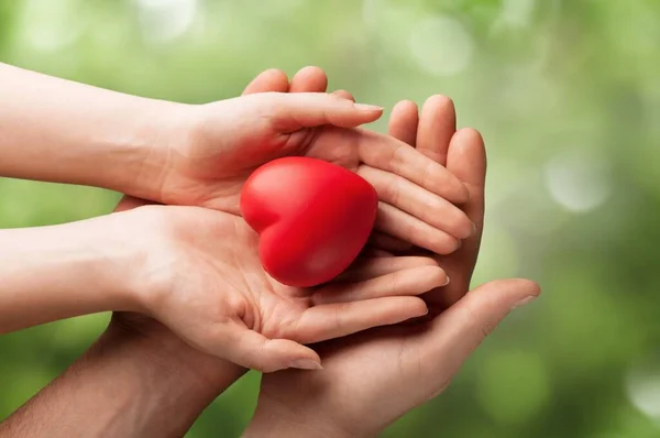 Hände Von Erwachsenen Und Kindern Halten Das Rote Herz — Stockfoto