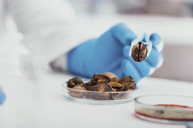  Erkek bilim adamı laboratuarda kimyasal ekipmanlarla çalışıyor.