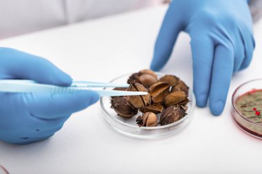 Bilim adamı klinik laboratuarında araştırma yapıyor.