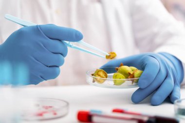 Bilim adamı klinik laboratuarında araştırma yapıyor.