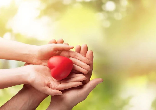 Mani Adulte Infantili Che Tengono Cuore Rosso — Foto Stock