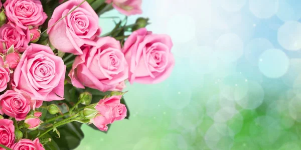 Цветок, Букет, Тюльпан . — стоковое фото