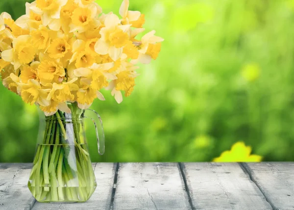 Άνοιξη, Νάρκισσος, λουλούδι. — Φωτογραφία Αρχείου
