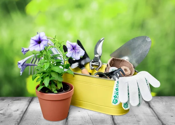 Gartenarbeit, Gartengeräte, isoliert. — Stockfoto