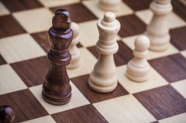 Satranç, hareket, at.