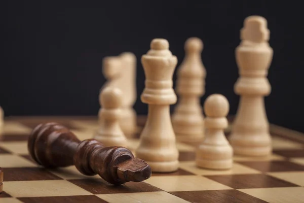 체스, 이동, 말. — 스톡 사진