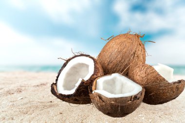 Hindistan cevizi, tropikal iklim, meyve.