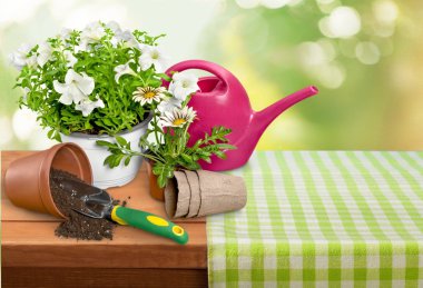 Bahçe ekipmanları, saksıyı, çiçek.