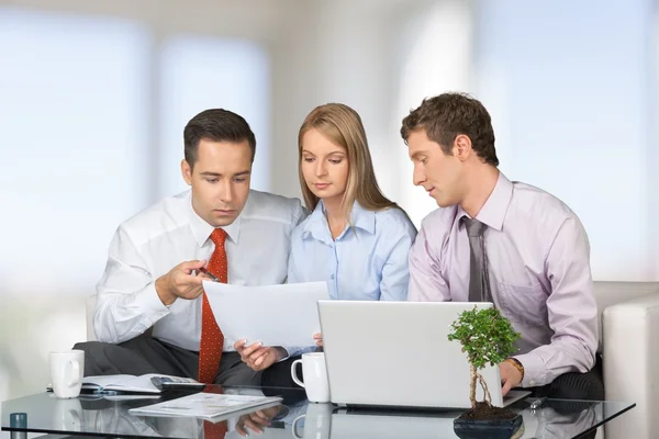 Büro, Geschäft, Meeting. — Stockfoto