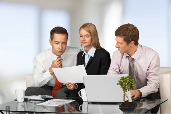 Büro, Geschäft, Meeting. — Stockfoto