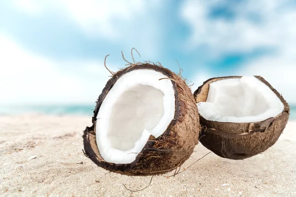 Kokosnuss, tropisches Klima, Früchte. — Stockfoto