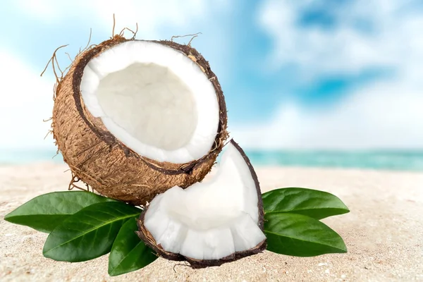 코코넛, 코 코, 과일. — 스톡 사진