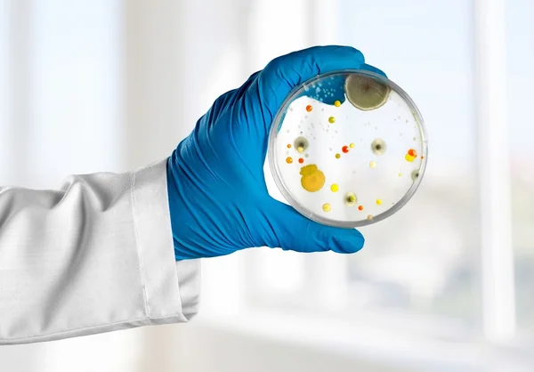 Analyze, background, bacteria. — Stock Photo, Image