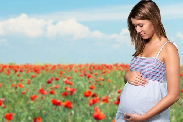 Embarazo Humano, Mujeres, Abdomen . —  Fotos de Stock