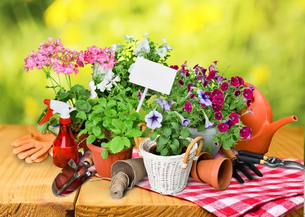 Gartenarbeit, Garten, Frühling. — Stockfoto