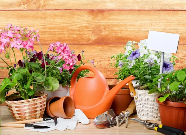 Gardening, garden, summer. — Stock Photo, Image