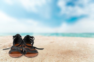 İzole sandal, Ayakkabı,.